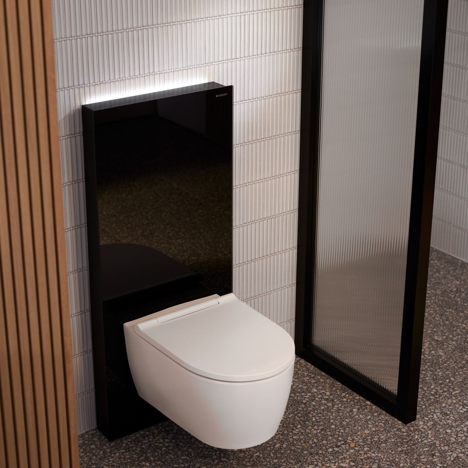 Modulul sanitar Geberit Monolith Plus Modulul sanitar Geberit Monolith Plus
