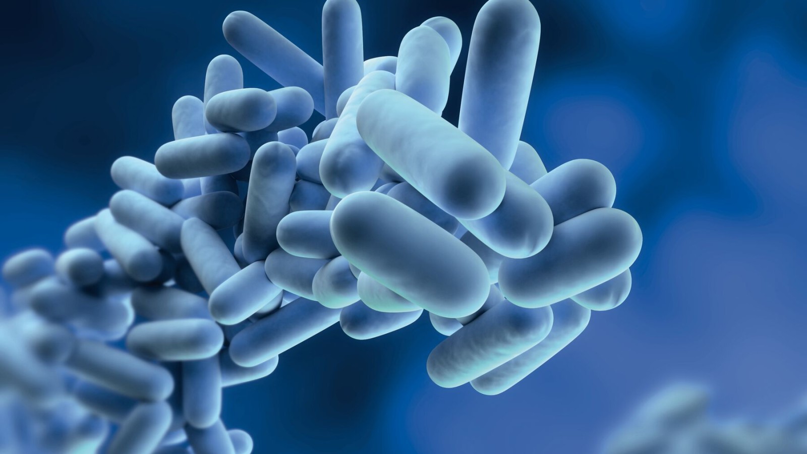 Legionella este o bacterie care se poate înmulţi în apa potabilă Legionella este o bacterie care se poate înmulţi în apa potabilă