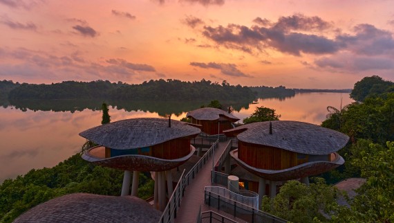 Case inspirate de păstăile de semințe la Mandai Rainforest Resort (© Banyan Tree) Case inspirate de păstăile de semințe la Mandai Rainforest Resort (© Banyan Tree)