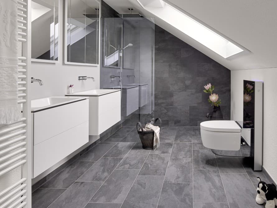 Baie cu acoperiș înclinat Baie cu acoperiș înclinat